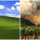 A la izquierda, la colina el famoso wallpaper de Windows XP (vía Microsoft). A la derecha, una colina incendiándose que no es la misma del fondo de pantalla del sistema operativo. (vía Kate Kisset/Twitter).
